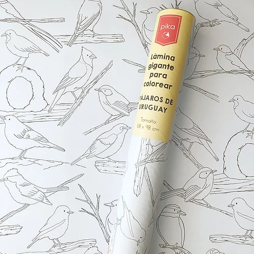 Post destacado de la madriguera libros | Producto: LAMINA GIGANTE PARA COLOREAR PÁJAROS DE URUGUAY